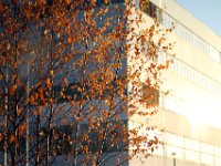 19 11 2012 008 bearb  Architektur15